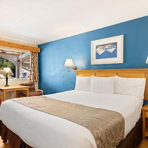 Pool Side King Room